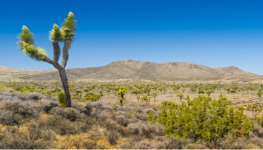 Mojave Desert Air Quality Image